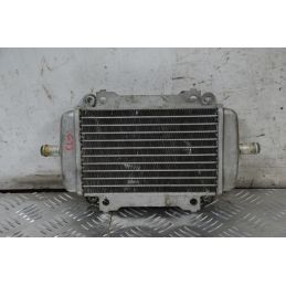 Radiatore Acqua Piaggio Vespa GTS 250 Dal 2005 al 2012  1711617932927