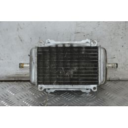 Radiatore Acqua Piaggio Vespa GTS 250 Dal 2005 al 2012  1711617932927