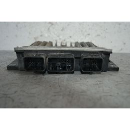 Centralina ECU DELPHI Renault Clio III Dal 2005 al 2013 Cod 8200911560  1711637905451