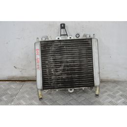 Radiatore Con Elettroventola Piaggio Beverly Tourer 400 dal 2009 al 2011  1711708531022