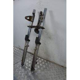 Forcella Kawasaki ER-5 500 Dal 1996 al 2006  1712135203346