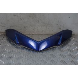 Carena Coprimanubrio Cover Parabrezza Peugeot Geopolis 250 dal 2005 al 2012  1712559894588