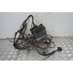 Cablaggio Impianto Elettrico Peugeot Geopolis 250 dal 2005 al 2012  1712678006091