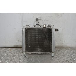 Radiatore Con Elettroventola Piaggio Beverly 250 carb dal 2001 al 2010  1713795420982