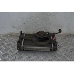 Radiatore Con Elettroventola Kymco People S Carb Dal 2005 al 2016  1713796754826