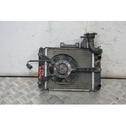 Radiatore Con Elettroventola Kymco People S 125 / 200 ie Dal 2005 al 2016  1713797288061