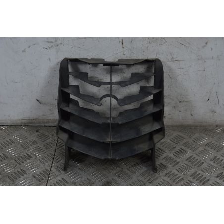 Griglia Radiatore Piaggio Carnaby Cruiser 300 dal 2008 al 2013  1716297434938