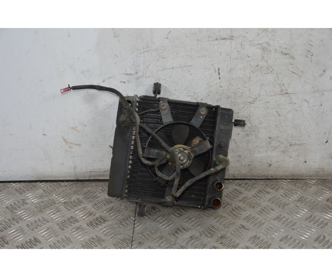 Radiatore Con Elettroventola Honda Foresight 250 Dal 1998 al 2004 1717485642876 Radiatore Con Elettroventola Honda Foresight 250 Dal 1998 al 2004 1717485642876