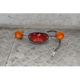 Fanale Stop Posteriore Con Frecce Aprilia scarabeo 50 2T dal 1994 al 2006  1718978158348