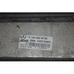 Kit Gruppo Radiatori Mercedes Classe A W169 dal 2004 al 2012 Cod A1695000354  1719478040447