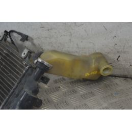 Radiatore Completo BMW F 650 GS Dal 2004 al 2007  1722867353219