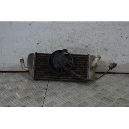 Radiatore Con Elettroventola Yamaha Xmax X-max 250 dal 2005 al 2009  1732783594221