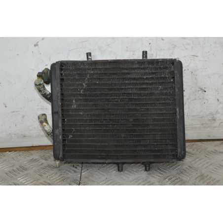Radiatore Aprilia Leonardo 150 Dal 1996 al 2002  1732793846891
