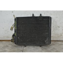 Radiatore Aprilia Leonardo 150 Dal 1996 al 2002  1732793846891