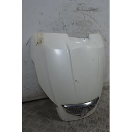 Carena Scudo Anteriore Aprilia Scarabeo Special 300 Dal 2009 Al 2013  1733321852124