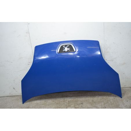 Cofano Anteriore Peugeot Bipper Dal 2007 al 2016 Cod 7901Q0  1733479313102
