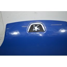 Cofano Anteriore Peugeot Bipper Dal 2007 al 2016 Cod 7901Q0  1733479313102