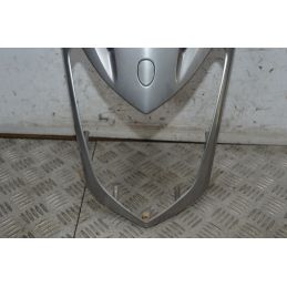 Carena Portafaro Kymco Agility R16 200 Dal 2008 al 2016  1733838651982