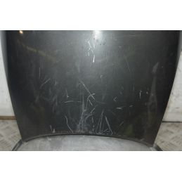 Carena Retroscudo Aprilia Scarabeo Light 125 / 200 dal 2007 al 2013  1733911851773