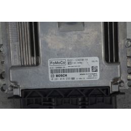 Centralina ECU Ford Fiesta VI Dal 2008 al 2017 Cod 0281018239  1734514615427
