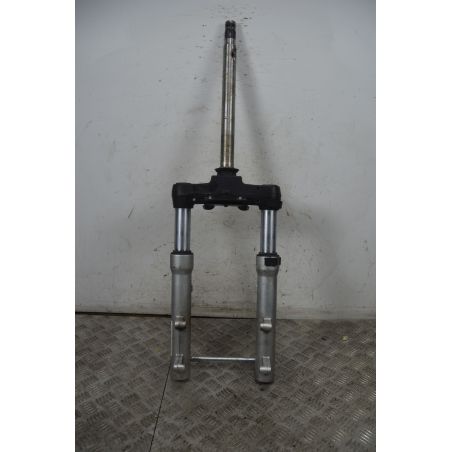 Forcella Aprilia Scarabeo 500 dal 2002 al 2006  1737622926270