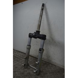Forcella Aprilia Scarabeo 500 dal 2002 al 2006  1737622926270