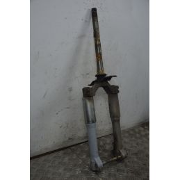 Forcella Piaggio Liberty RST 200 dal 2004 al 2008  1737709230184