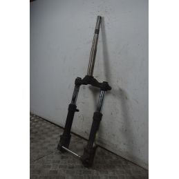 Forcella Aprilia SR 50 Ditech IE dal 2000 al 2004  1737732360551