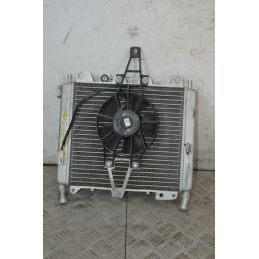 Radiatore Con Elettroventola Aprilia Scarabeo 500 dal 2007 al 2012  1737966498617