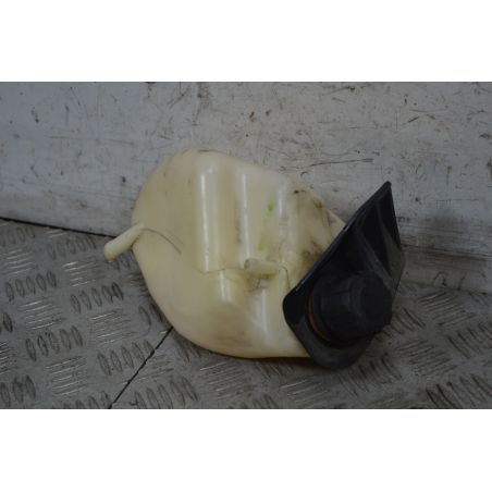 Vaschetta Acqua Aprilia Scarabeo 500 dal 2007 al 2012  1737969608983