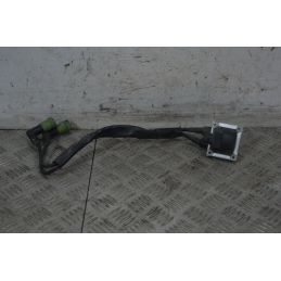 Bobina Accensione Aprilia Scarabeo 500 dal 2007 al 2012  1737970587536
