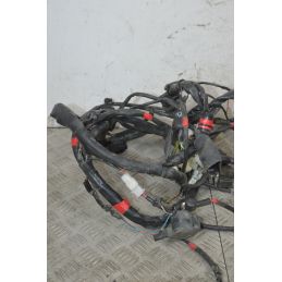 Cablaggio Impianto Elettrico Aprilia Scarabeo 500 dal 2007 al 2012  1737971017650
