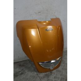 Carena Scudetto Anteriore Aprilia Scarabeo 500 dal 2007 al 2012  1737976149493