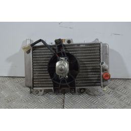 Radiatore Con Elettroventola Piaggio Beverly 200 dal 2001 al 2010  1739446329022