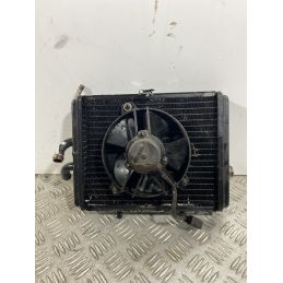 Radiatore Con Elettroventola Piaggio Carnaby Cruiser 300 dal 2008 al 2013  1740672970179