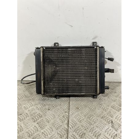 Radiatore Con Elettroventola Kymco Xciting 300 dal 2008 al 2011  1740996416773