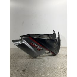 Carena Scudo Anteriore Kawasaki GPZ 500S Dal 1988 Al 1993  1741162264983