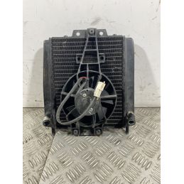 Radiatore Con Elettroventola Piaggio MP3 300 Dal 2010 al 2016  1741191403940