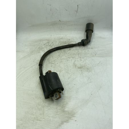 Bobina Accensione Yamaha Neo's 50 4T Dal 2014 Al 2018 COD 1C0-00  1741361003475