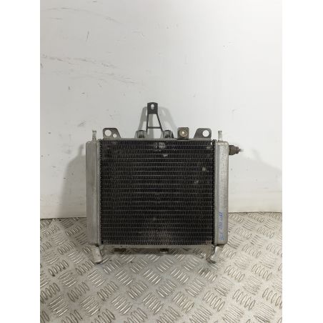 Radiatore Con Elettroventola Piaggio Beverly 250 carb dal 2001 al 2010  1741708769972