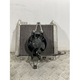 Radiatore Con Elettroventola Piaggio Beverly 250 carb dal 2001 al 2010  1741708769972