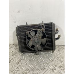 Radiatore Con Elettroventola Piaggio Carnaby Cruiser 300 dal 2008 al 2013  1741776598023