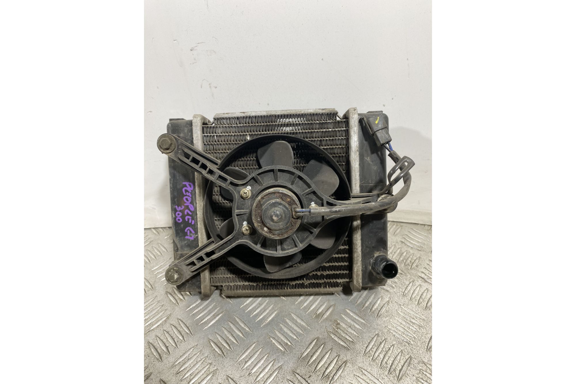 Radiatore Con Elettroventola Kymco People GT 300 Dal 2010 al 2017  1741787536328