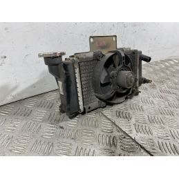Radiatore Completo Peugeot LXR 200 dal 2009 al 2014  1742288581770