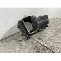 Radiatore Completo Peugeot LXR 200 dal 2009 al 2014  1742288581770