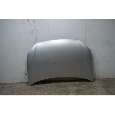 Cofano Anteriore Volkswagen Polo 9N2  Dal 2005 al 2009 Cod 6Q0823031J  1742460933700