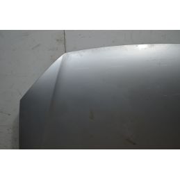 Cofano Anteriore Volkswagen Polo 9N2  Dal 2005 al 2009 Cod 6Q0823031J  1742460933700