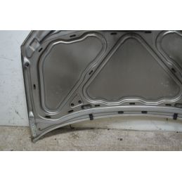 Cofano Anteriore Volkswagen Polo 9N2  Dal 2005 al 2009 Cod 6Q0823031J  1742460933700