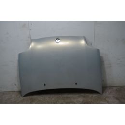 Cofano Anteriore Renault Clio II Dal 2001 al 2010 Cod 7751473024  1742464309891