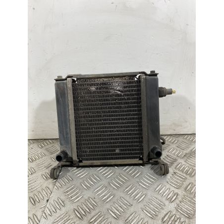 Radiatore Con Elettroventola Kymco Downtown 200 dal 2008 al 2017  1742478763917